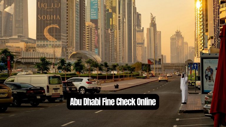 Abu Dhabi Fine Check Online - How to Check Your Abu Dhabi Fines?