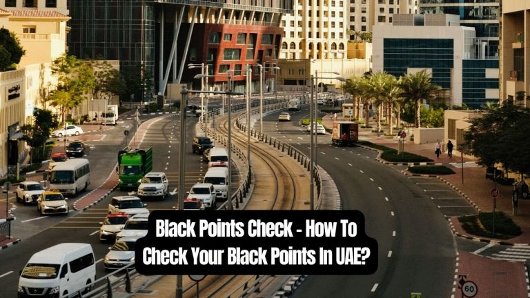 Black Points Check - How To Check Your Black Points In UAE?