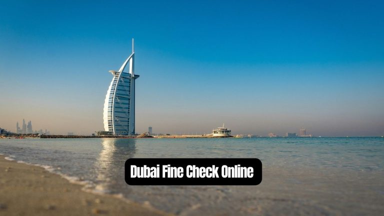 Dubai Fine Check Online - How to Check Your Fines in Dubai?