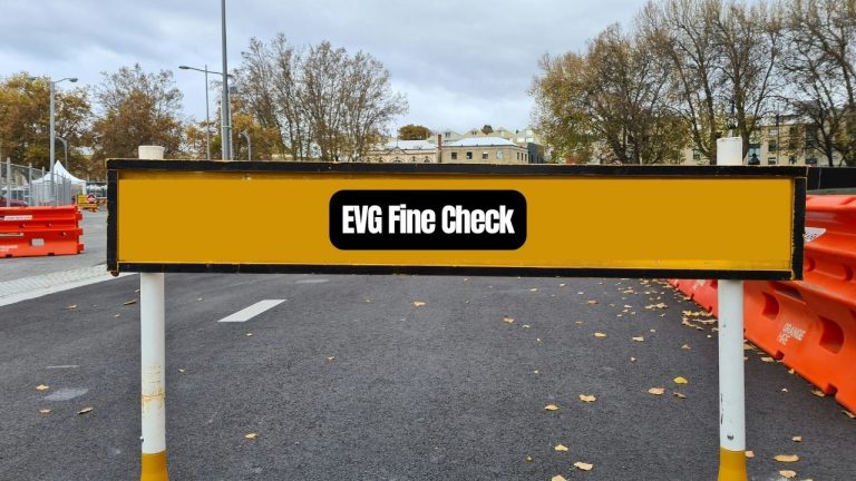 EVG Fine Check: Paying Traffic Fines on EVG