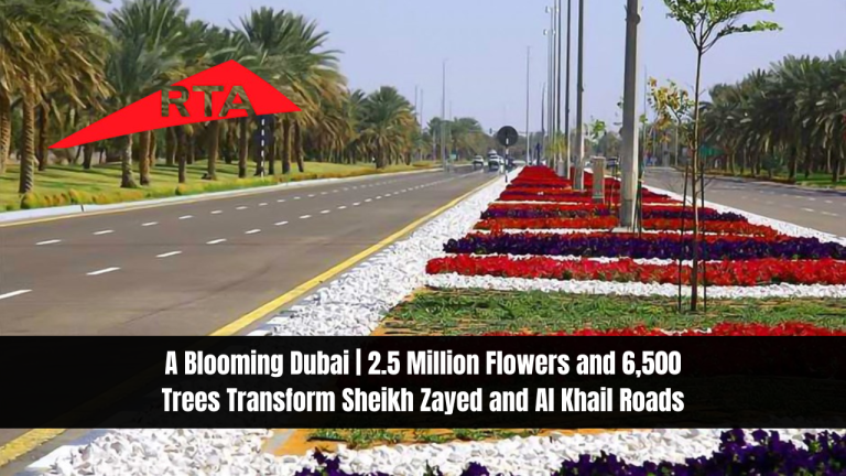 A Blooming Dubai | 2.5 Million Flowers and 6,500 Trees Transform Sheikh Zayed and Al Khail Roads