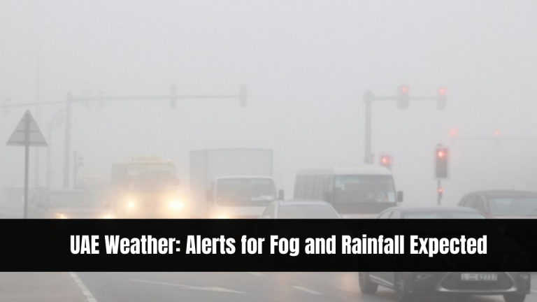 UAE Weather: Alerts for Fog and Rainfall Expected